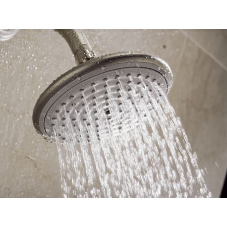 Delta-T17T055-Running Shower Head in Stainless