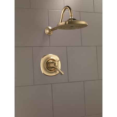 Delta-T17T292-Installed Shower Trim in Champagne Bronze