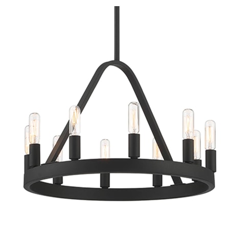 Designers Fountain Carousel 10 Light 18" Wide Chandelier Black