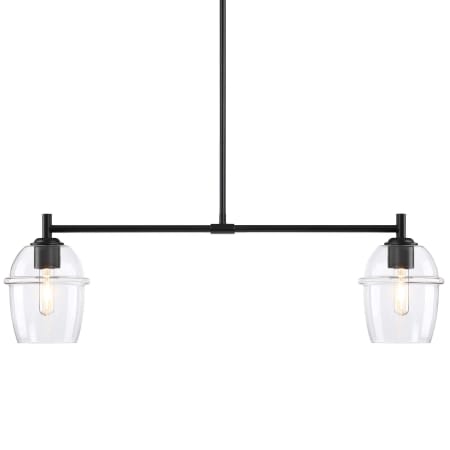 Designers Fountain Summer Jazz 2 Light 36" Wide Linear Pendant Matte Black