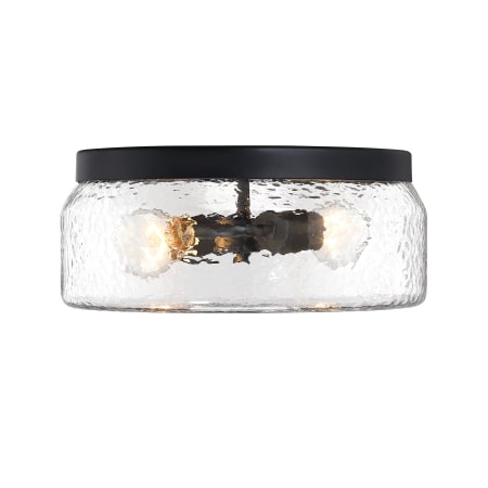 Designers Fountain Rose Marie 2 Light 13" Wide Flush Mount Drum Ceiling Fixture Matte Black