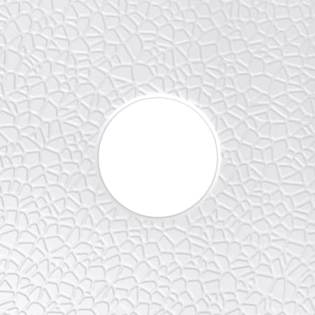 Alternate Image