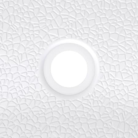 Alternate Image