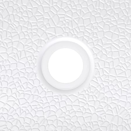 Alternate Image