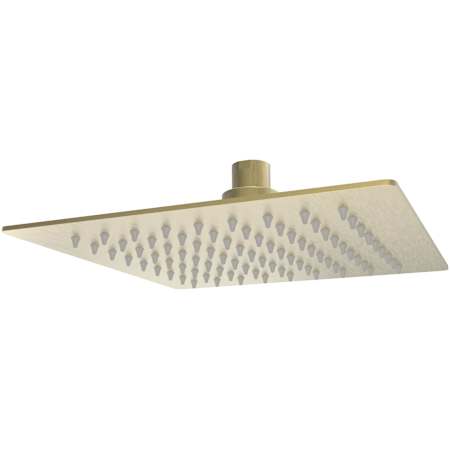 DreamLine Ascend 1.8 GPM Single Function Shower Head Brushed Brass