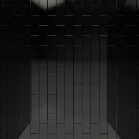 Alternate Image