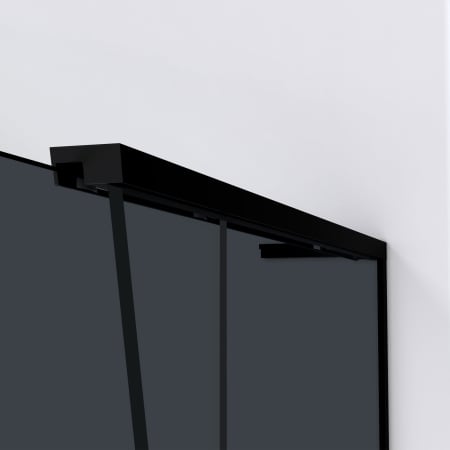 Alternate View