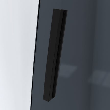 Alternate View