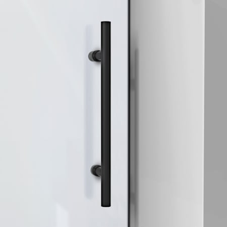 Alternate View