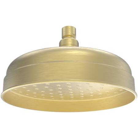 DreamLine Levantine 2 GPM Single Function Shower Head Brushed Brass