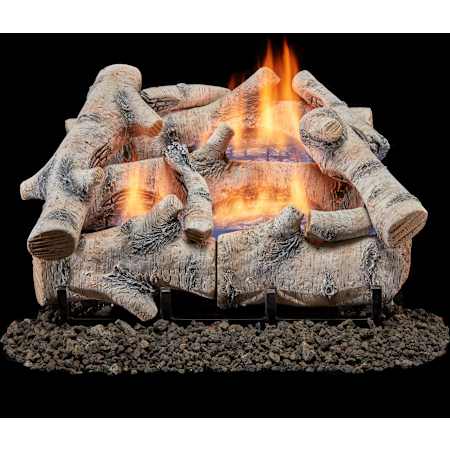 Duluth Forge 30,000 BTU Vent Free Liquid Propane, Natural Gas Log Set Fireplace with Ventless Dual Fuel Technology and Birch Wood Logs N/A