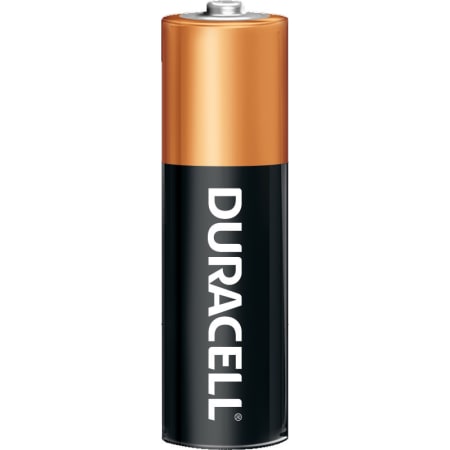 Duracell Coppertop AA Battery, Bulk (Package of 24) na