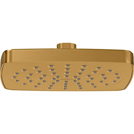 Duravit DuraShower 1.75 GPM Single Function Shower Head Brushed Gold