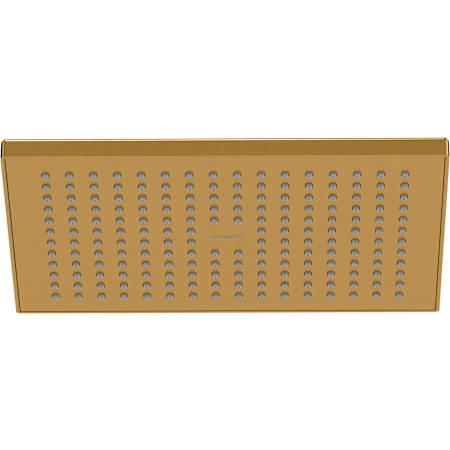Duravit DuraShower 1.75 GPM Single Function Rain Shower Head Brushed Gold