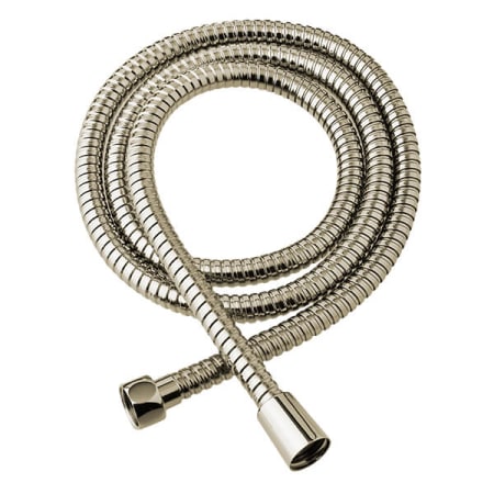 DXV 59 In Metal Hose For All Handshowers Platinum Nickel
