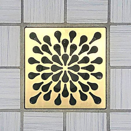 Alternate Image