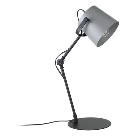 Eglo Goodall 17" Tall Spotlight Table Lamp Black / Grey
