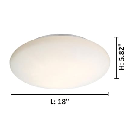 Alternate Image