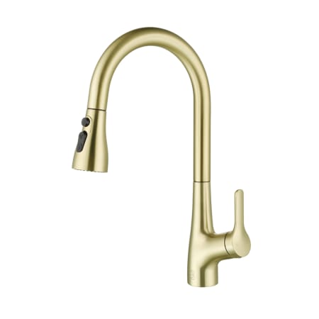 Elegant Lighting Andrea 1.8 GPM Single Hole Pull Down Kitchen Faucet Brushed Gold