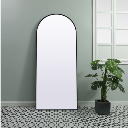 Alternate Image