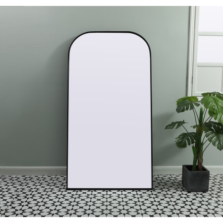 Alternate Image