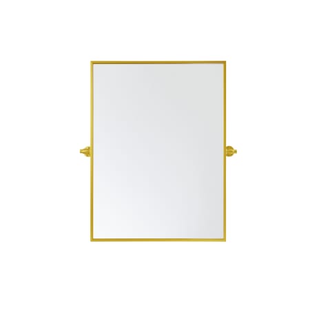 Elegant Lighting Everly 24" W x 32" H Transitional Rectangular Framed Bathroom Wall Mirror Gold