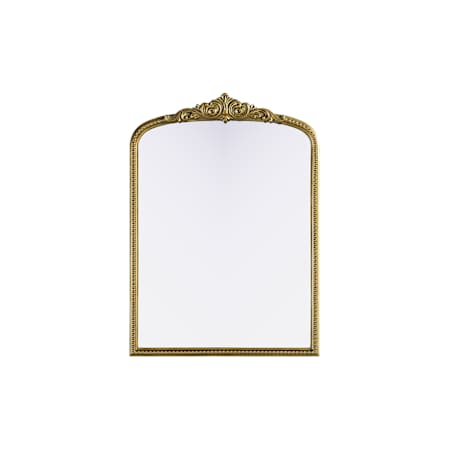 Elegant Lighting Naomi 30"W x 42"H Rectangular Flat Resin Framed Accent Mirror Antique Brass
