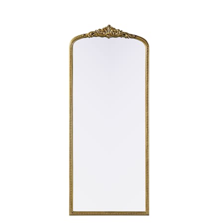 Elegant Lighting Naomi 30"W x 72"H Rectangular Flat Resin Framed Accent Mirror Antique Brass