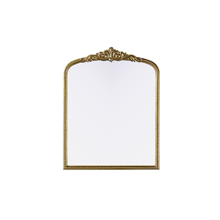 Elegant Lighting Naomi 33"W x 42"H Rectangular Flat Resin Framed Accent Mirror Antique Brass