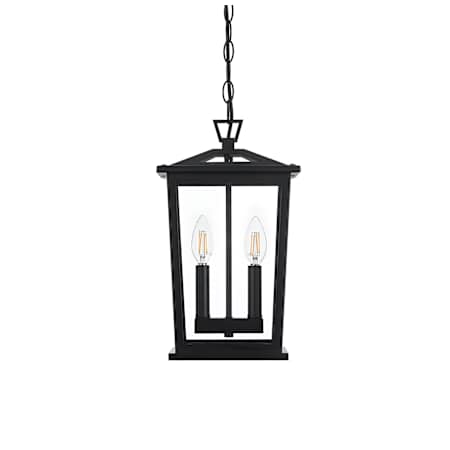 Elegant Lighting Berks 2 Light 9" Wide Outdoor Mini Pendant Black