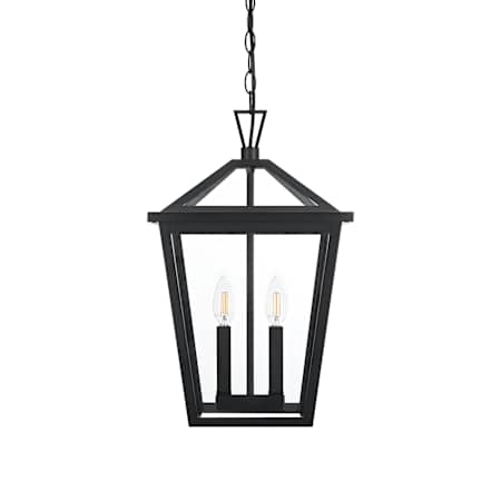 Elegant Lighting Frankford 2 Light 12" Wide Outdoor Pendant Black