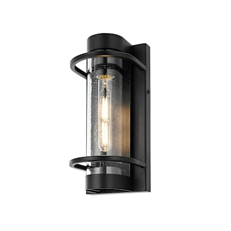 Elegant Lighting Parrish 13" Tall Outdoor Wall Sconce Black