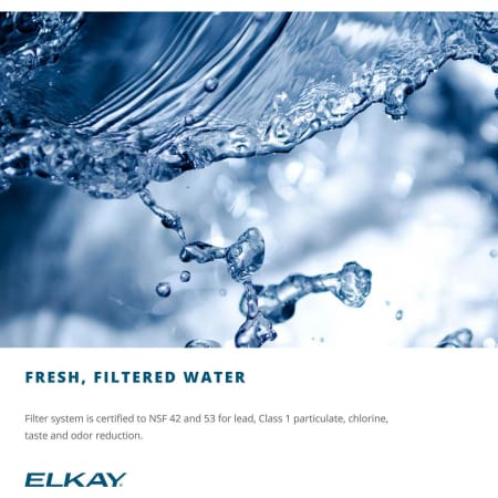 Elkay-LZSTLDDC-Filtered Water