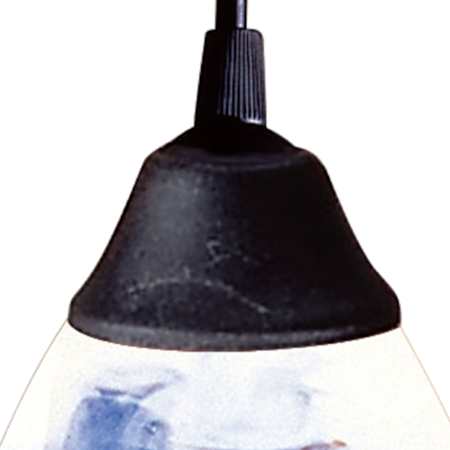Alternate Image