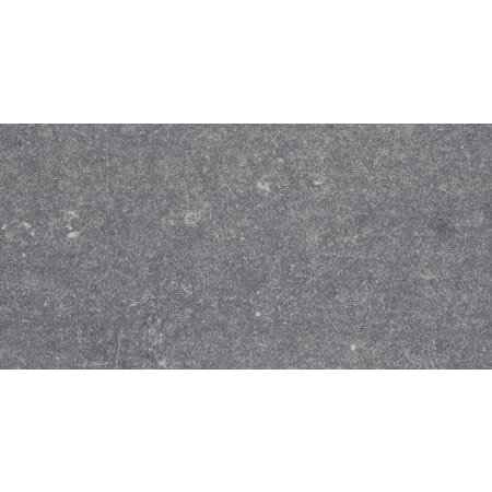Alternate View