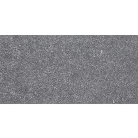 Alternate View