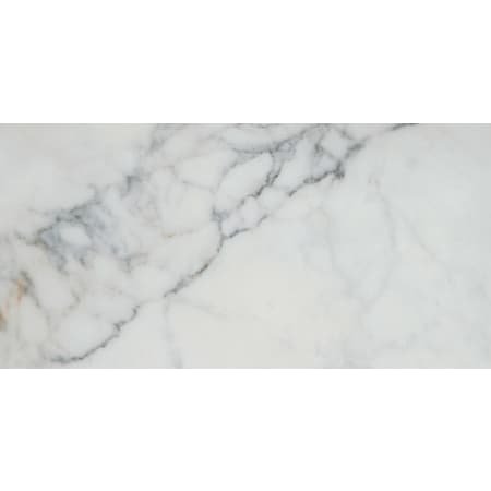 Emser Tile Parkview - 12" x 24" Rectangle Floor and Wall Tile - Polished Visual - Sold by Carton (15.5 SF/Carton) White