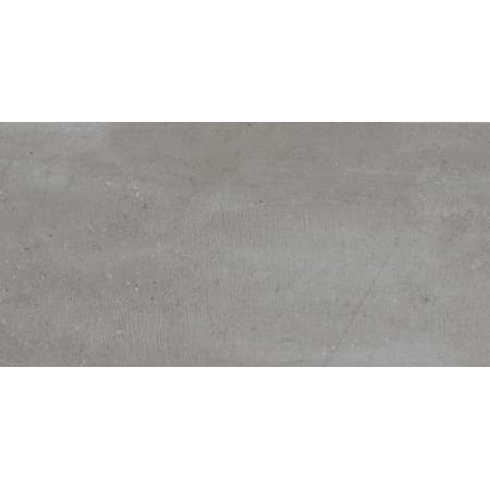 Emser Tile Uptown - 12" x 24" Rectangle Floor and Wall Tile - Matte Visual - Sold by Carton (11.63 SF/Carton) Hamilton