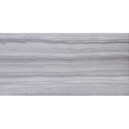Emser Tile Chronicle - 12" x 24" Rectangle Floor Tile - Unpolished Visual - Sold by Carton (11.63 SF/Carton) Chronicle Record