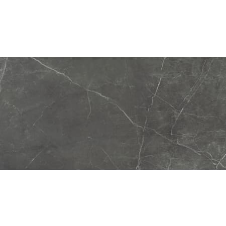 Emser Tile Sterlina - 24" x 47" Rectangle Floor and Wall Tile - Polished Visual - Sold by Carton (15.5 SF/Carton) Asphalt