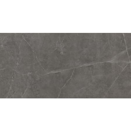 Emser Tile Sterlina II - 12" x 24" Rectangle Floor Tile - Polished Visual - Sold by Carton (15.5 SF/Carton) Asphalt