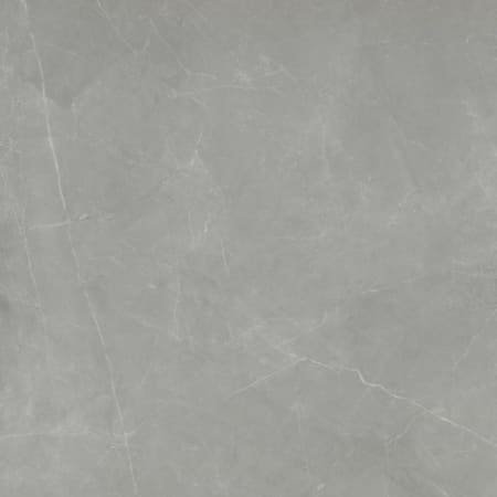 Emser Tile Sterlina II - 24" x 24" Square Floor and Wall Tile - Polished Visual - Sold by Carton (15.5 SF/Carton) Gray