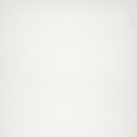 Emser Tile Citizen - 24" x 24" Square Floor and Wall Tile - Semi-Gloss Visual - Sold by Carton (11.63 SF/Carton) Civilian