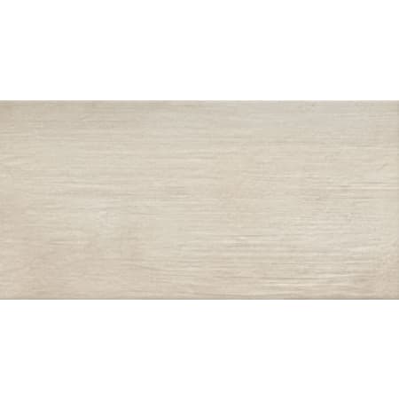 Emser Tile Denova - 12" x 24" Rectangle Floor and Wall Tile - Matte Visual - Sold by Carton (16.02 SF/Carton) Astoria