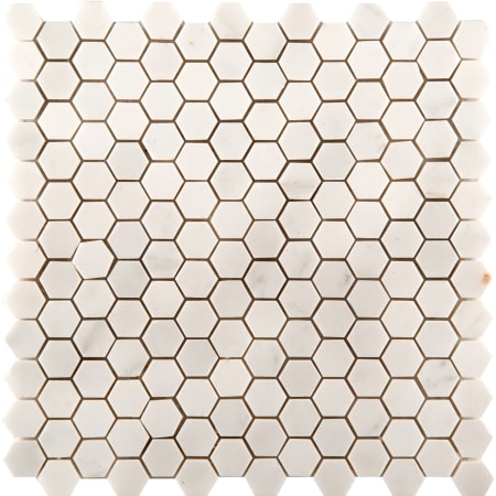 Emser Tile Marble - 12" x 12" Hexagon Wall Tile - Polished Visual - Sold by Sheet (1.01 SF/Sheet) Calacata Oro