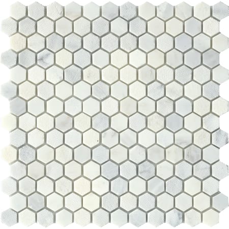 Emser Tile Marble - 12" x 12" Hexagon Geometric Mosaic Wall Tile - Polished Marble Visual - Sold by Piece (0.97 SF/Sheet) Winter Frost