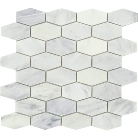 Emser Tile Marble - 12" x 12" Hexagon Geometric Mosaic Wall Tile - Polished Marble Visual - Sold by Piece (1.01 SF/Sheet) Winter Frost