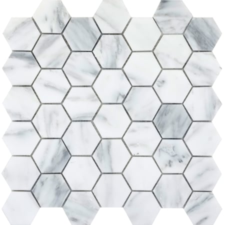 Emser Tile Marble - 12" x 12" Hexagon Wall Tile - Polished Visual - Sold by Sheet (0.98 SF/Sheet) Winter Frost