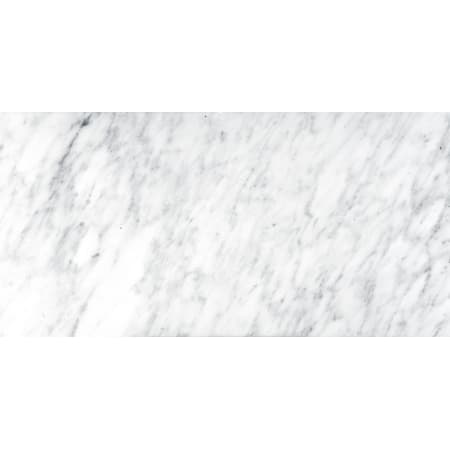 Emser Tile Marble - 12" x 24" Rectangle Floor and Wall Tile - Polished Visual - Sold by Sheet (2 SF/Sheet) Winter Frost