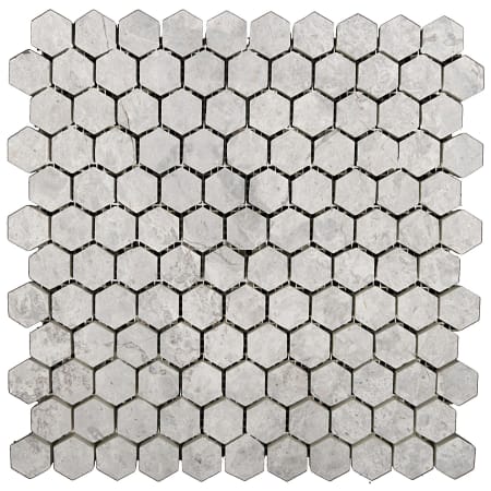Emser Tile Marble - 12" x 12" Hexagon Wall Tile - Polished Visual - Sold by Sheet (1 SF/Sheet) Silver